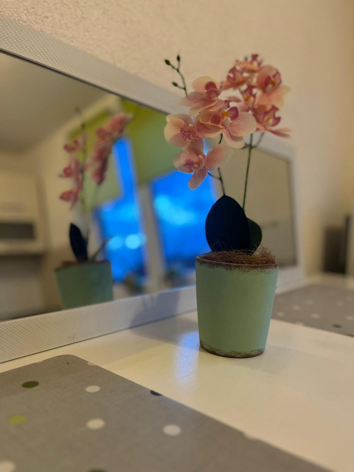 Lovely Apartment In Old Town 400M From City Center Sebilj Saraybosna Dış mekan fotoğraf