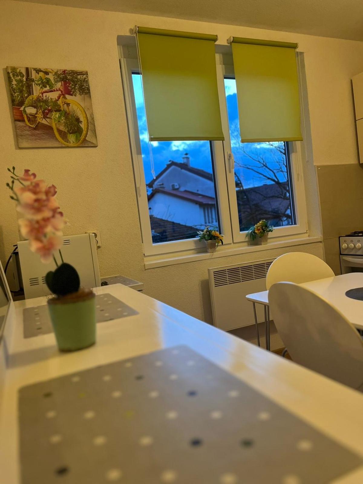 Lovely Apartment In Old Town 400M From City Center Sebilj Saraybosna Dış mekan fotoğraf