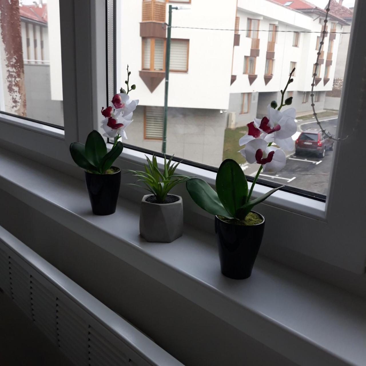 Lovely Apartment In Old Town 400M From City Center Sebilj Saraybosna Dış mekan fotoğraf